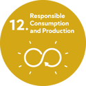 SDG 12