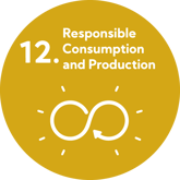 SDG 12