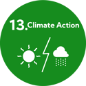 SDG 13