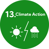 SDG 13