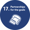 SDG 17