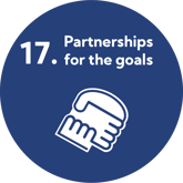 SDG 17