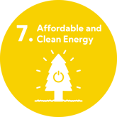 SDG 7