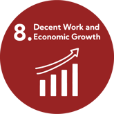 SDG 8