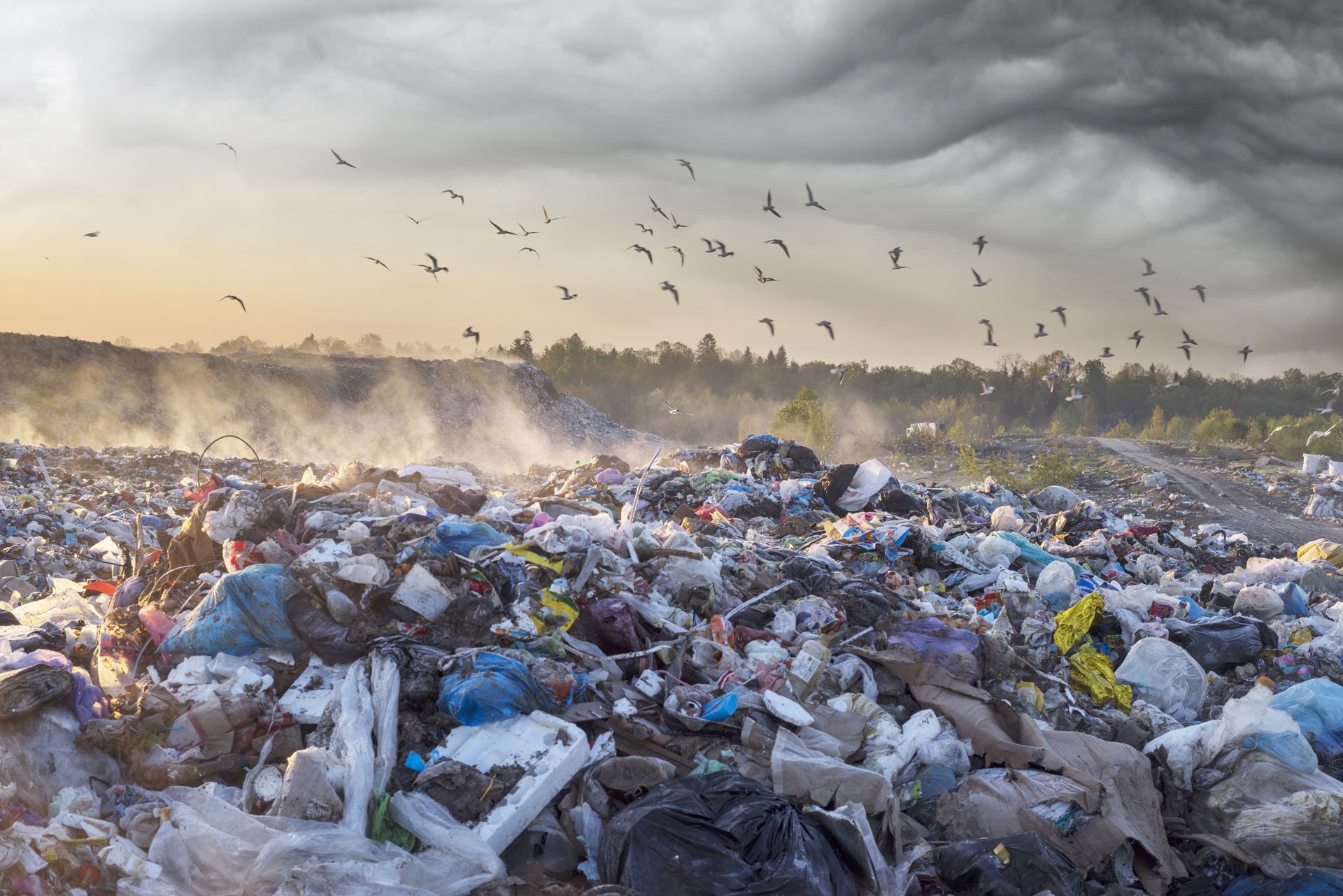 entsorgung-recycling-branche