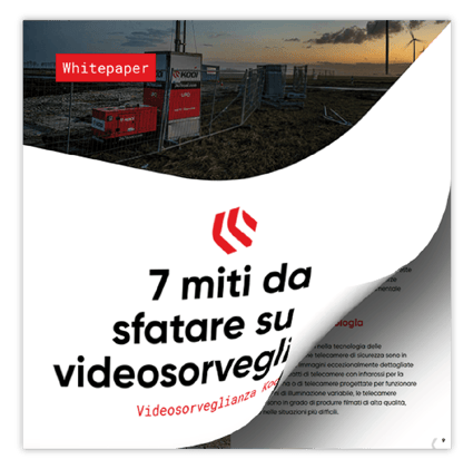 White paper 7 idee sbagliate comuni sulla sicurezza