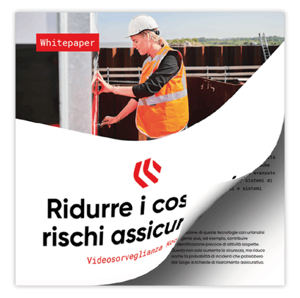 White paper Ridurre i costi assicurativi