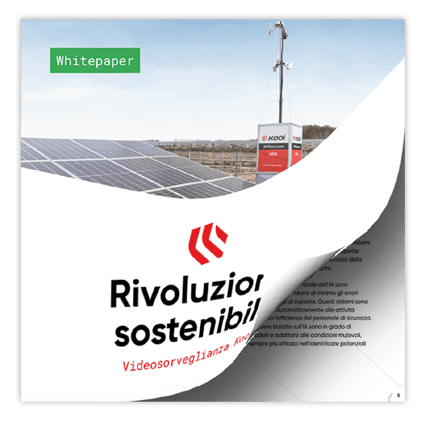 White paper Rivoluzione sostenibile