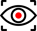 KOOI_ICON_DETACTION_AREA