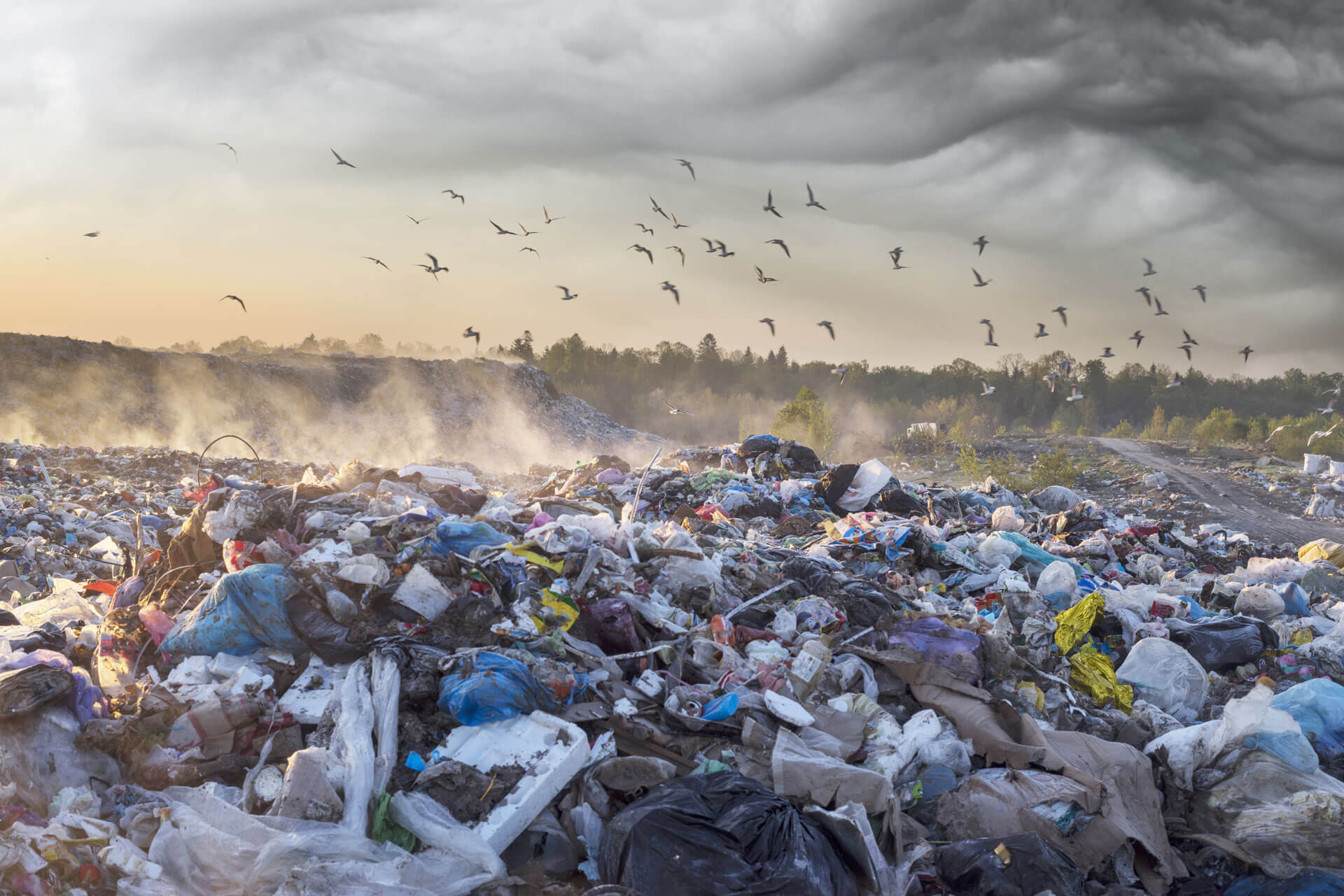 Centre de tri des déchets