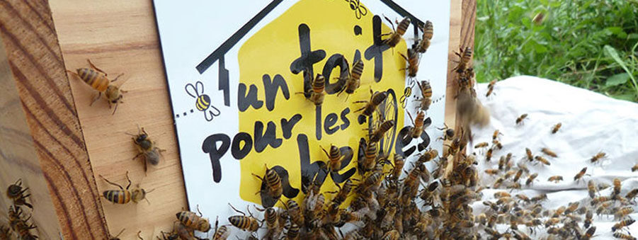 Un Toit Pour les Abeilles